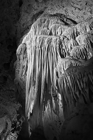 Carlsbad Caverns Formation