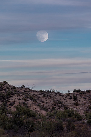 Arizona Moon