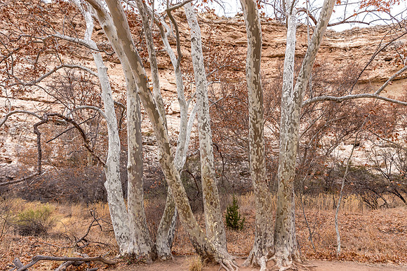 Montezuma's Castle, Arizona