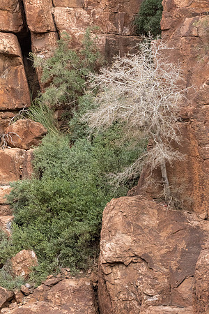 Arizona near Globe