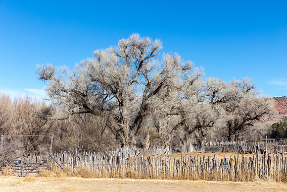 Near Jerome, AZ