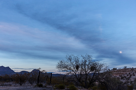 Arizona Moon