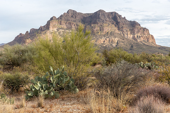 Arizona near Globe
