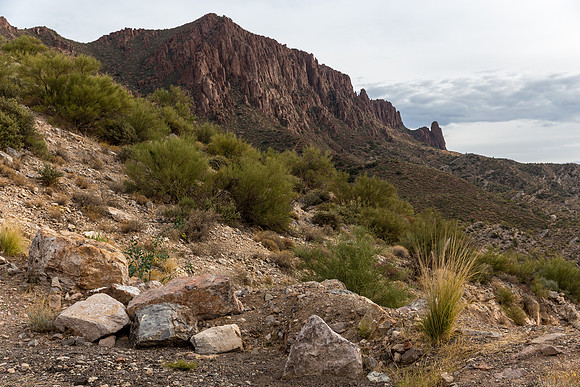 Arizona near Globe