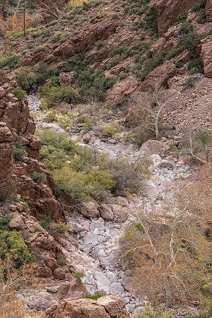 Arizona near Globe