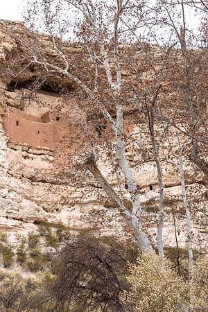 Montezuma's Castle, Arizona