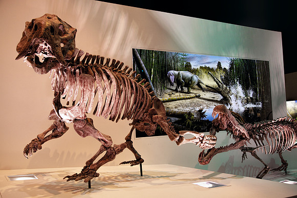 Dinosaur being chased by a Prehistoric Crocodile