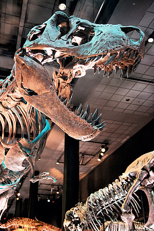 Dinosaur