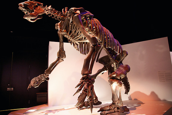 Dinosaur