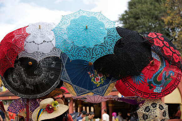 Texas Renaissance Festival