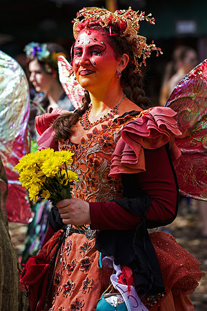 Texas Renaissance Festival