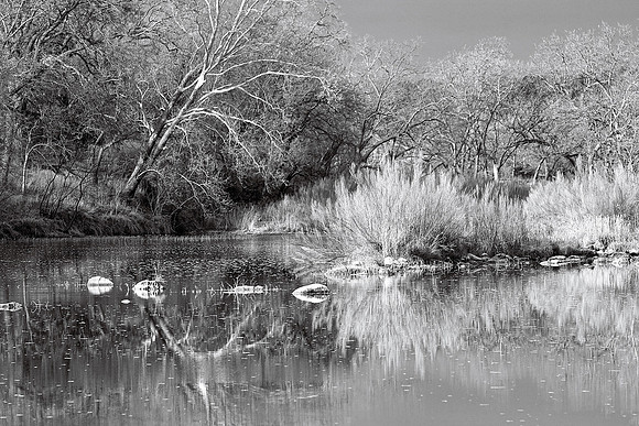 Reflections on the South Llano River