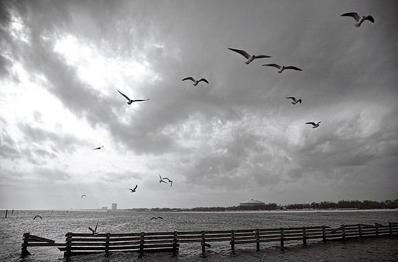 Biloxi Coast