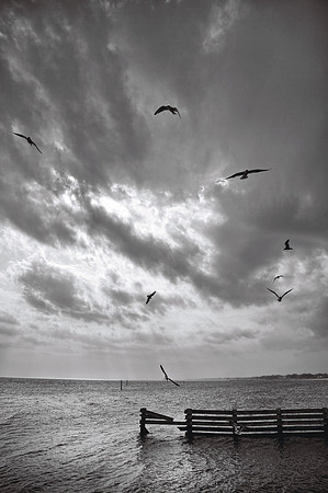 Biloxi Coast