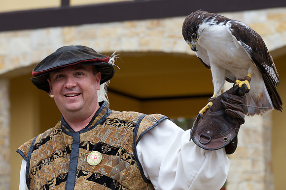 Raptor at the Texas Renaissance Festival