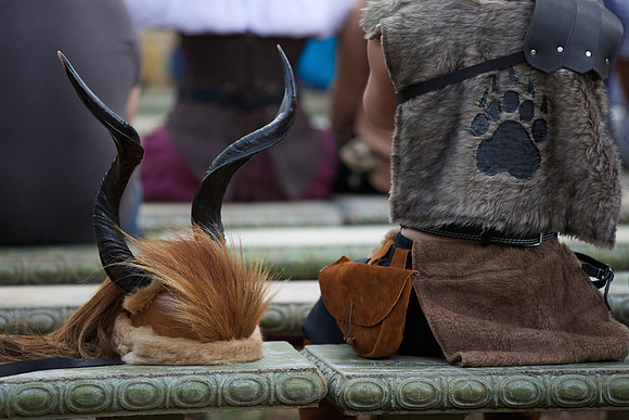 Texas Renaissance Festival