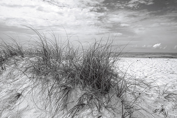 Sand and Dunes