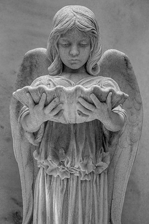 Angel Wings