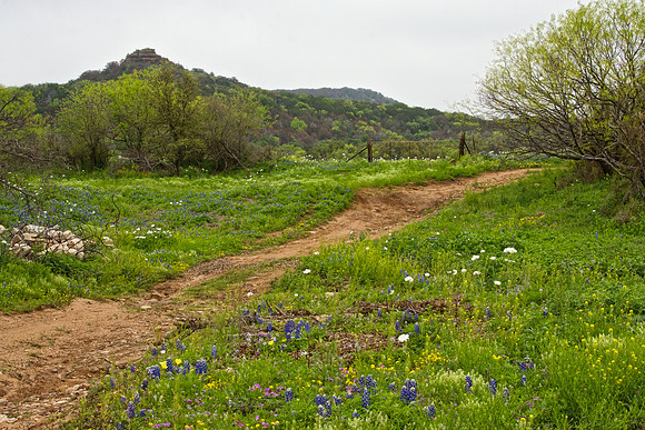 Willow City Loop