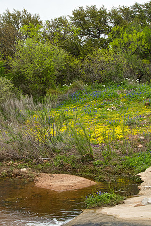 Willow City Loop