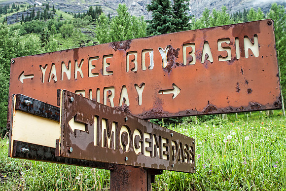 Yankee Boy Basin/Imogene PassOuray