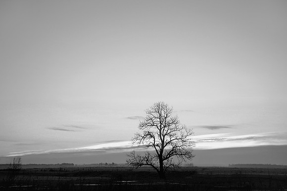 Alone