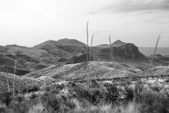 Big Bend Vista