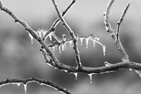 Nature's Artwork