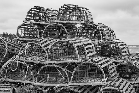 Lobster Traps