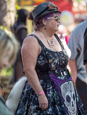 Texas Renaissance Festival
