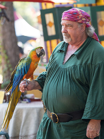 Texas Renaissance Festival