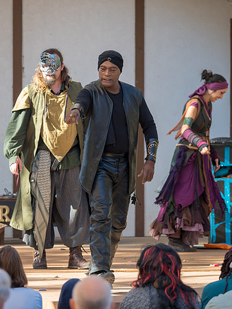 Texas Renaissance Festival