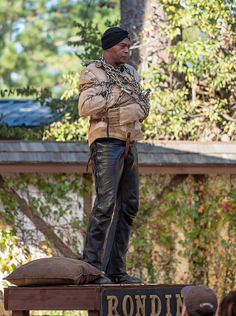 Texas Renaissance Festival