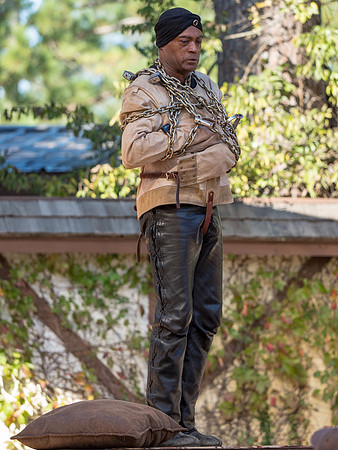 Texas Renaissance Festival