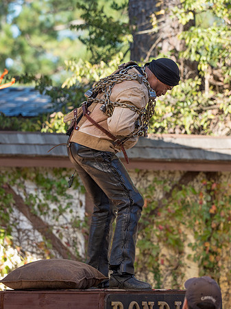 Texas Renaissance Festival