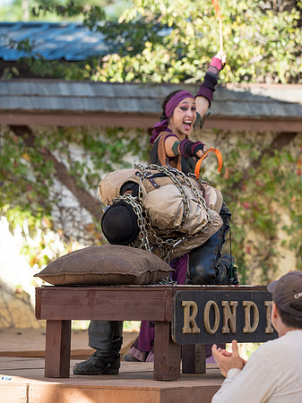 Texas Renaissance Festival