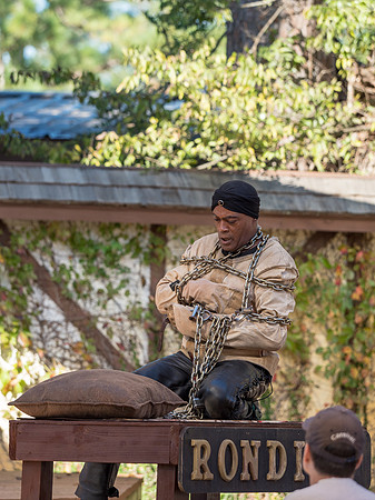 Texas Renaissance Festival