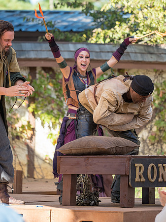 Texas Renaissance Festival
