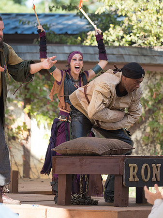 Texas Renaissance Festival