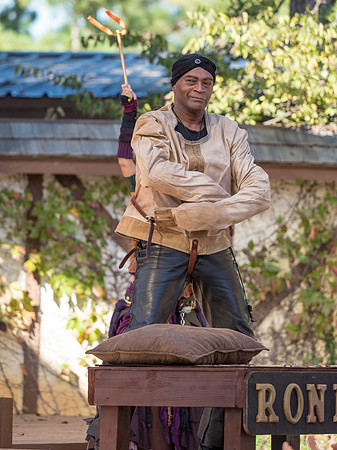 Texas Renaissance Festival