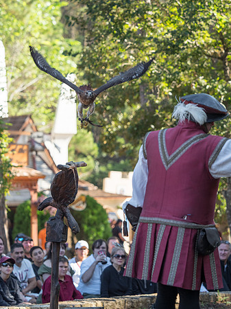 Texas Renaissance Festival