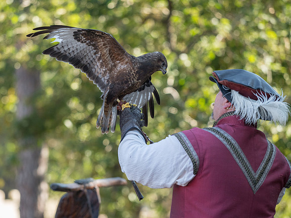 Texas Renaissance Festival