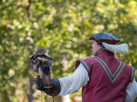Texas Renaissance Festival