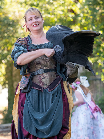 Texas Renaissance Festival