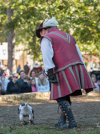 Texas Renaissance Festival