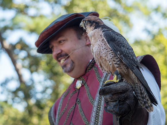 Texas Renaissance Festival