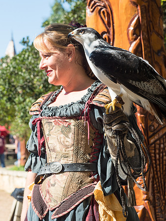 Texas Renaissance Festival