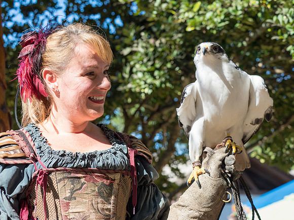 Texas Renaissance Festival