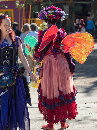 Texas Renaissance Festival