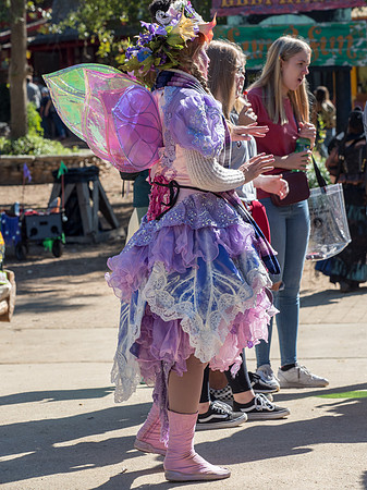 Texas Renaissance Festival